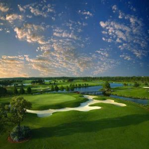 Sân golf 36 hố tại Vinhomes Green Paradise – thiết kế Tiger Woods & Robert Trent Jones II
